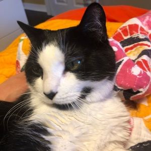 Meet your Posher, Anat